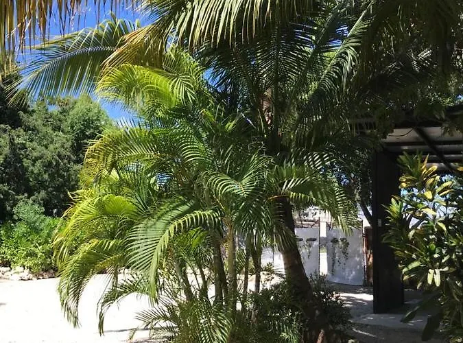Veleta Hotel Tulum